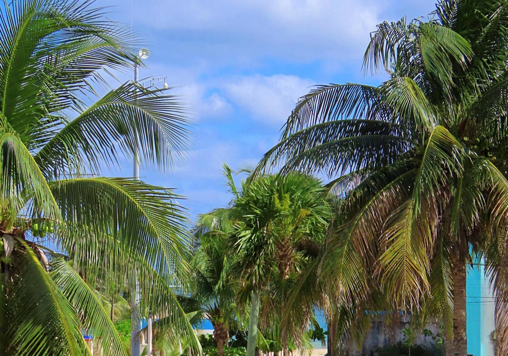Studio Norte, Casa Brisamar Puerto Morelos Esterno foto
